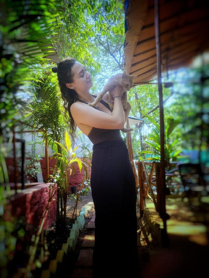 Nature Of Arambol Ngoại thất bức ảnh